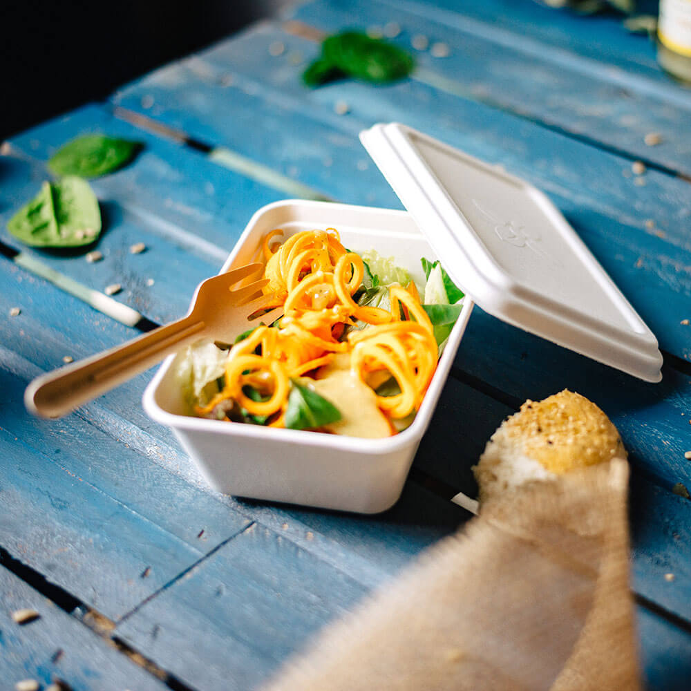 Bowl Sugarcane 17x12x6 cm, 650 ml (500 pieces)