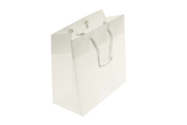 Gift Bags 22x7.6x27cm with carrying Cords