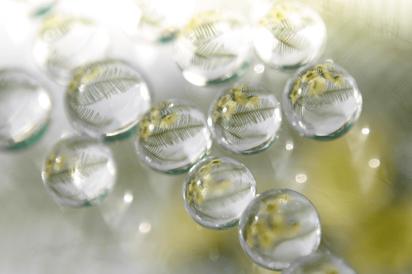 Wasserperlen Ø 10-12mm (1 St.) [IFS-10320]