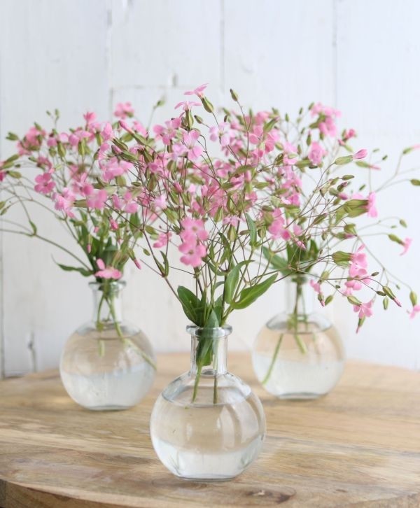 Bauchflasche Glas 10x8cm - (24 Stück) [IFS-129193]