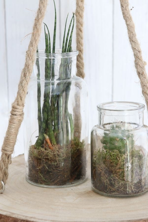 Medizinflasche Glas 16x8cm (12 Stück) [IFS-129195]