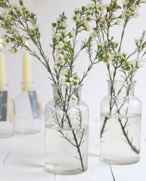 Medizinflasche Glas 16x8cm (12 Stück) [IFS-129195]