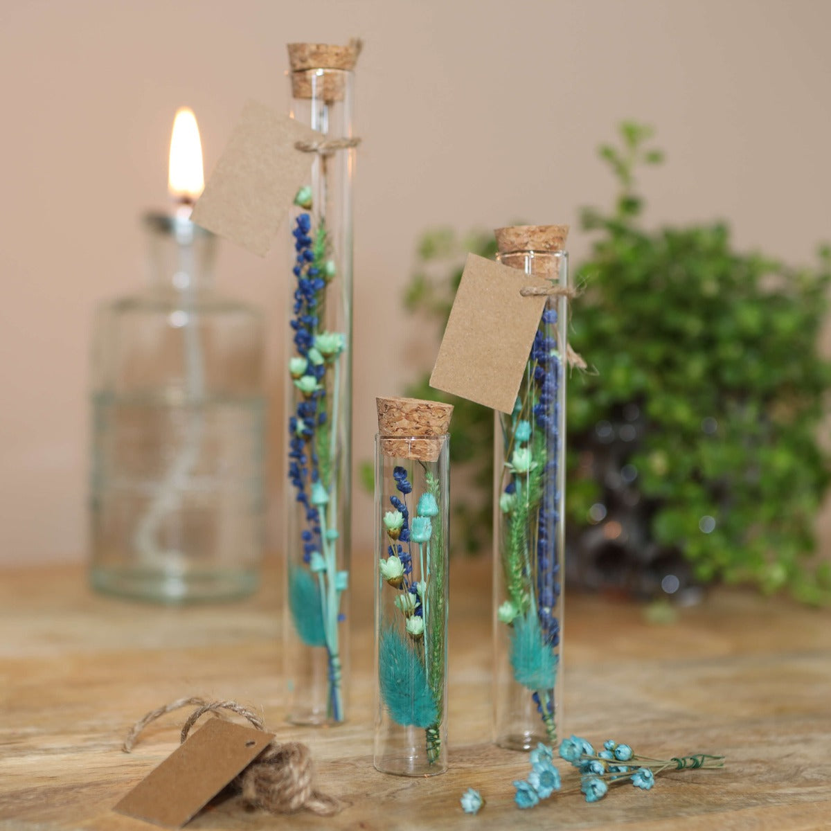 Glasröhre Ø2cm | H: 19cm (12 Stück) [IFS-29108]