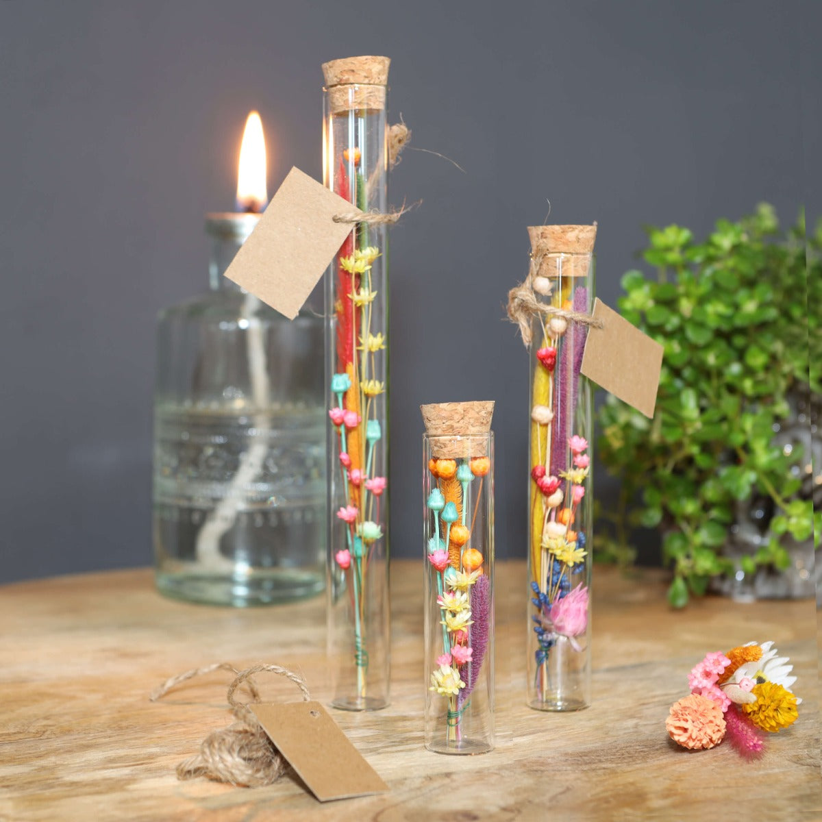 Glasröhre Ø2cm | H: 19cm (12 Stück) [IFS-29108]