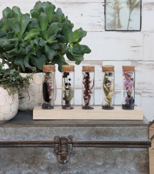 Glasröhre Ø3cm auf Holzbrett (6 Stück) [IFS-29147]