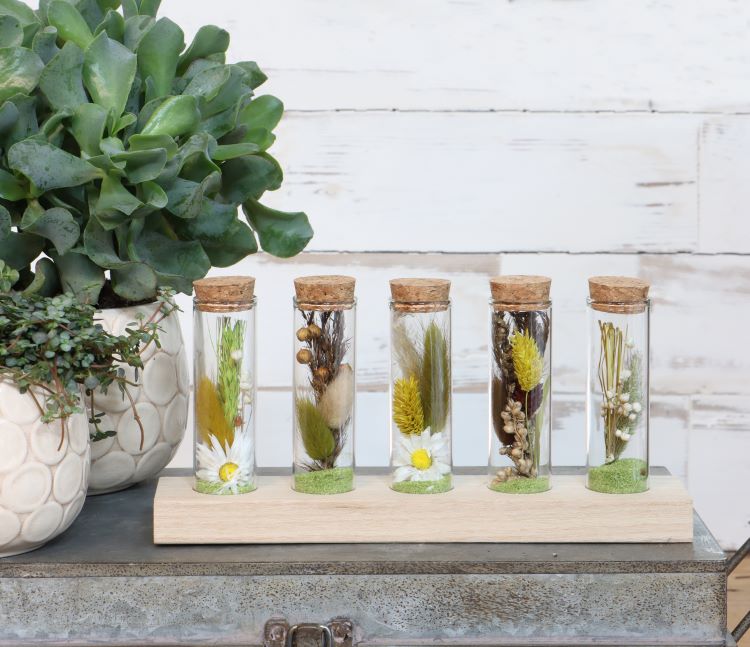 Glasröhre Ø3cm auf Holzbrett (6 Stück) [IFS-29147]