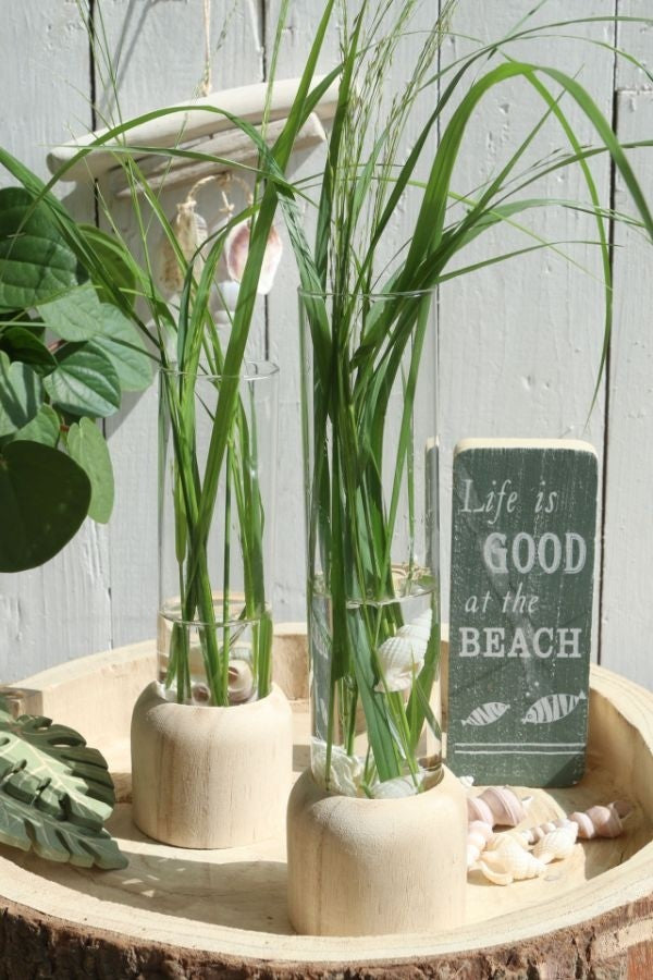 Testrohr mit Holzbasis 5x18cm (1 Stück) [IFS-29218]