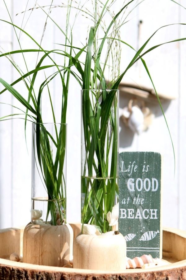 Testrohr mit Holzbasis 5x18cm (1 Stück) [IFS-29218]