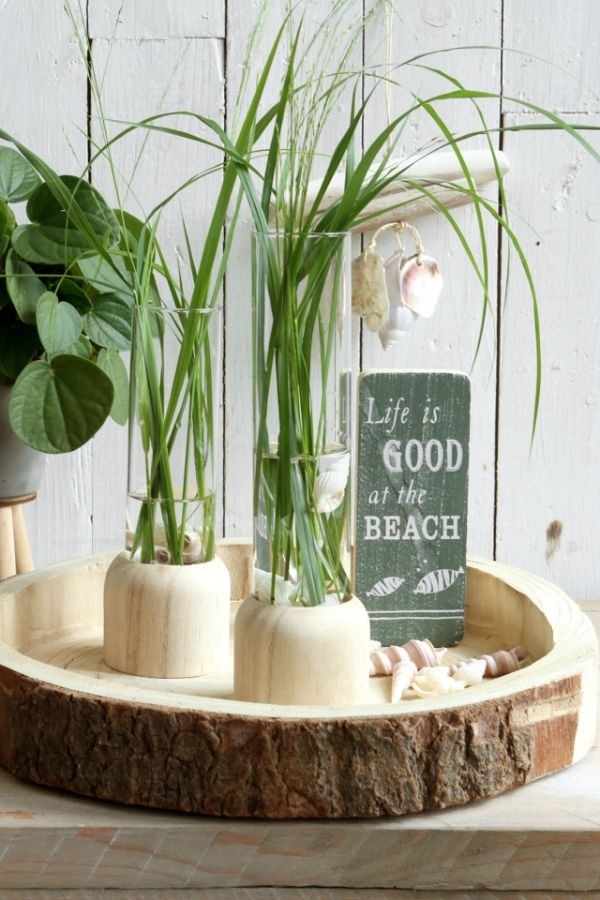 Testrohr mit Holzbasis 5x18cm (1 Stück) [IFS-29218]