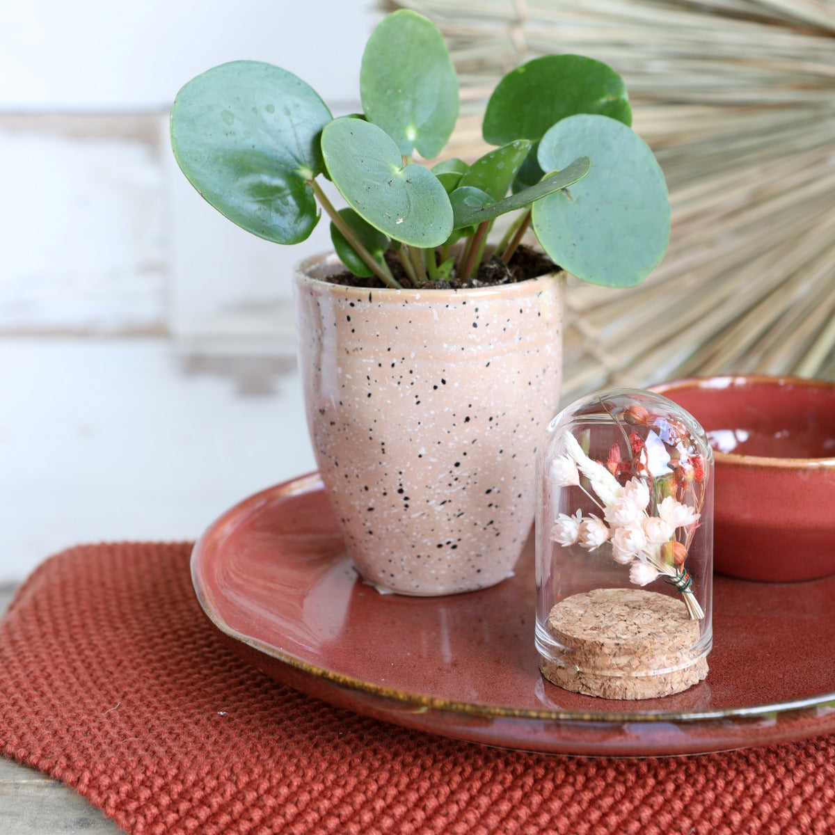 Mini dome en verre Ø4cm et 6cm de haut avec liège (6 pièces.) [IFS-29410]