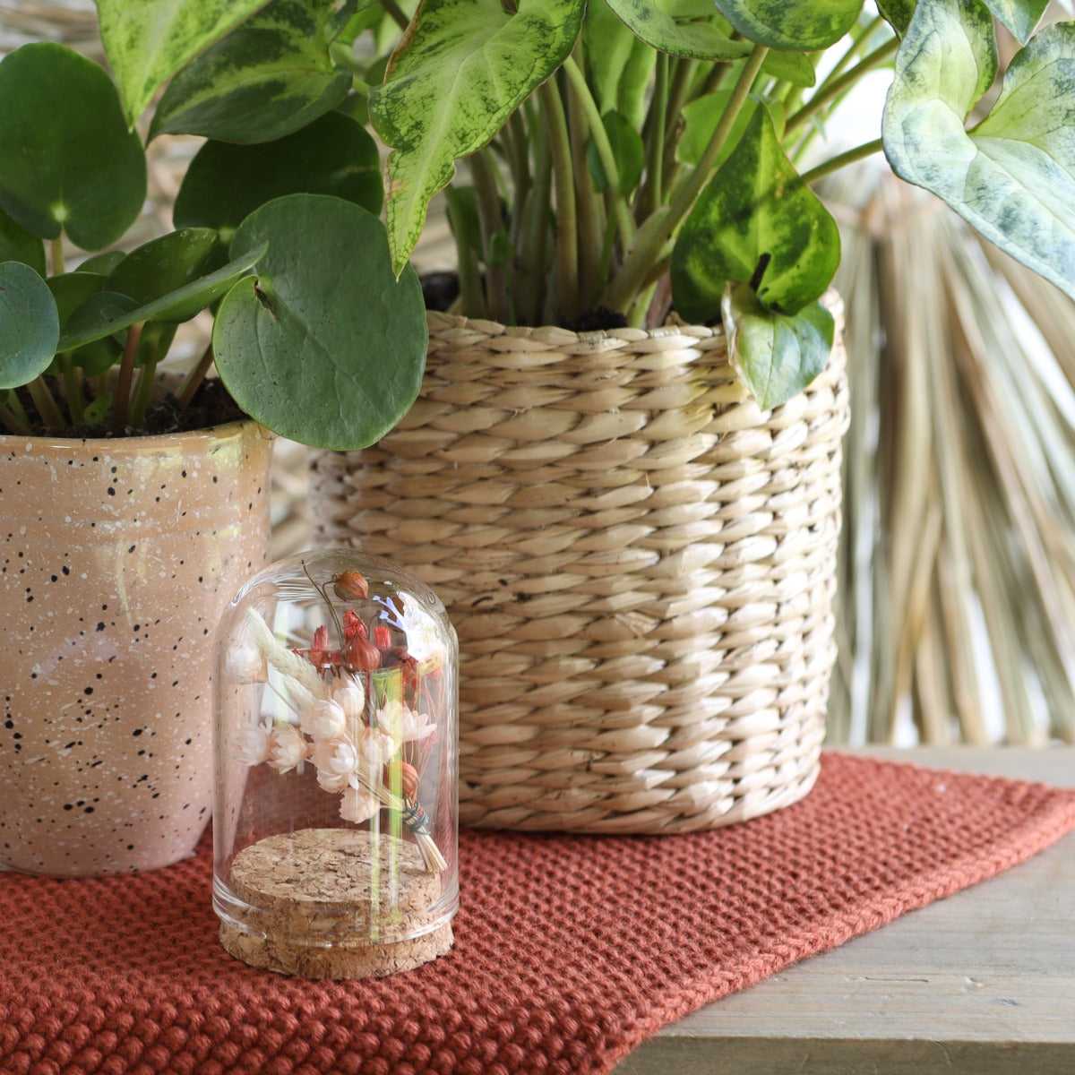 Mini dome en verre Ø4cm et 6cm de haut avec liège (6 pièces.) [IFS-29410]