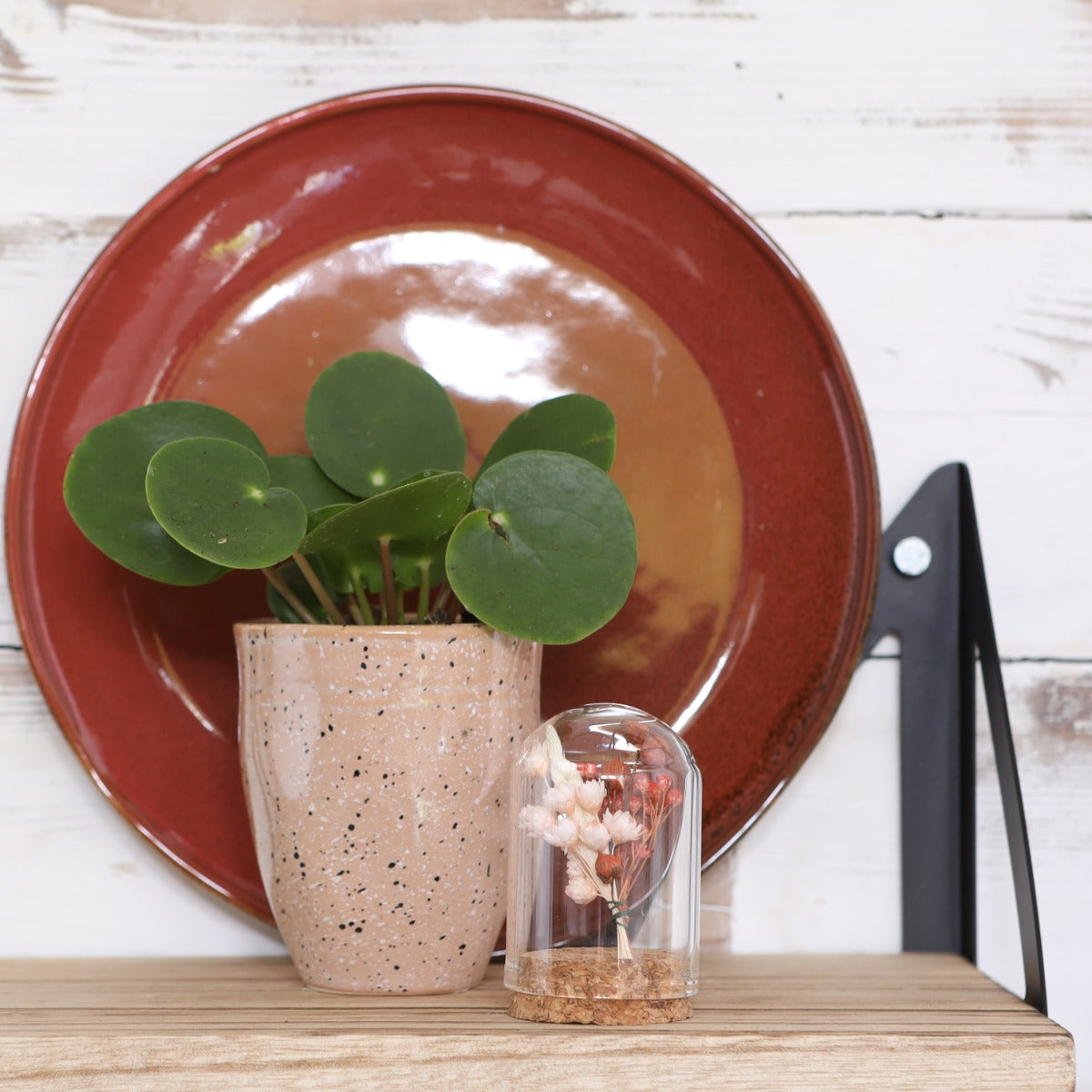 Mini dome en verre Ø4cm et 6cm de haut avec liège (6 pièces.) [IFS-29410]