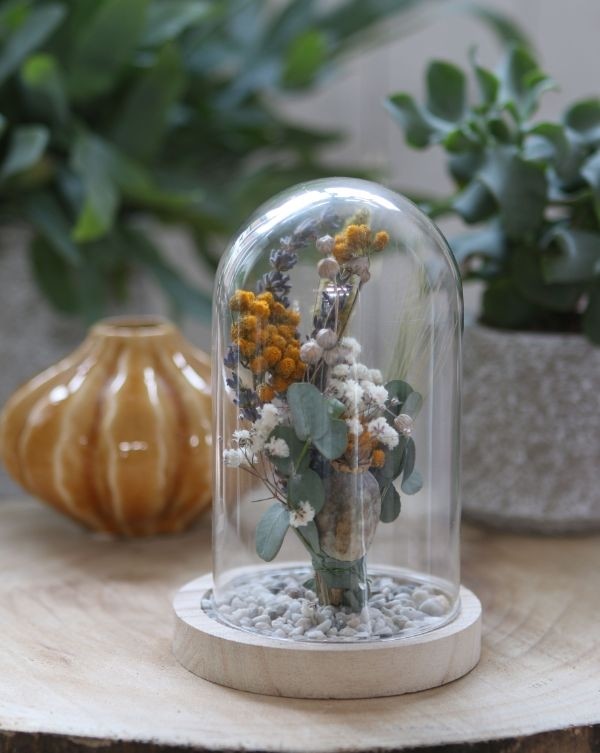 Dôme en verre avec base en bois Ø 12cm et 16 cm de hauteur (1 pièce) [IFS-29423]