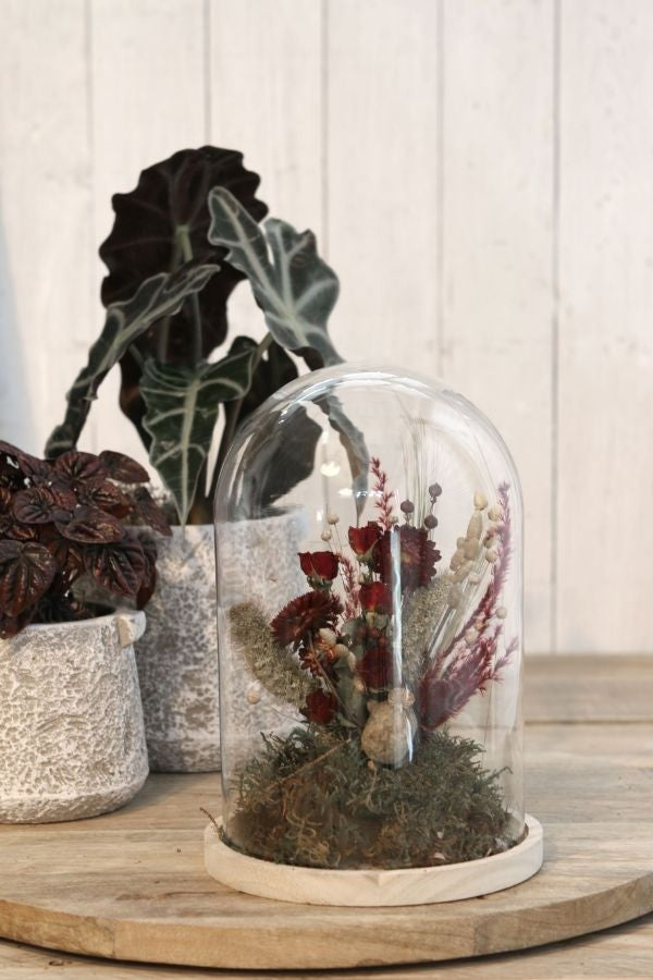 Dôme en verre avec base en bois Ø 17cm et 25 cm de hauteur (1 pièce) [IFS-29425]