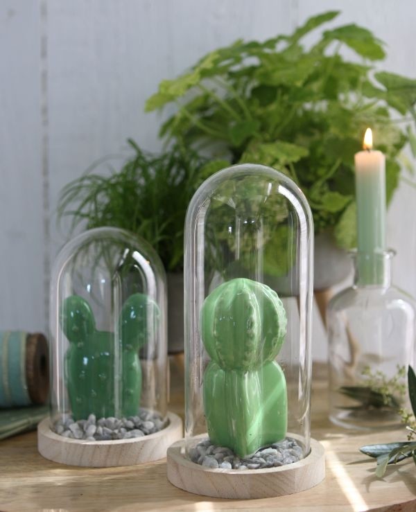 Dôme en verre avec base en bois Ø 10cm et 15 cm de hauteur (1 pièce) [IFS-29428]