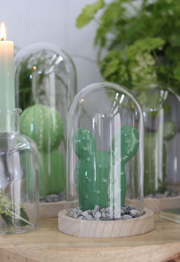 Campana di vetro con base di legno Ø10cm e alta 15 cm (1 pz) [IFS-29428]