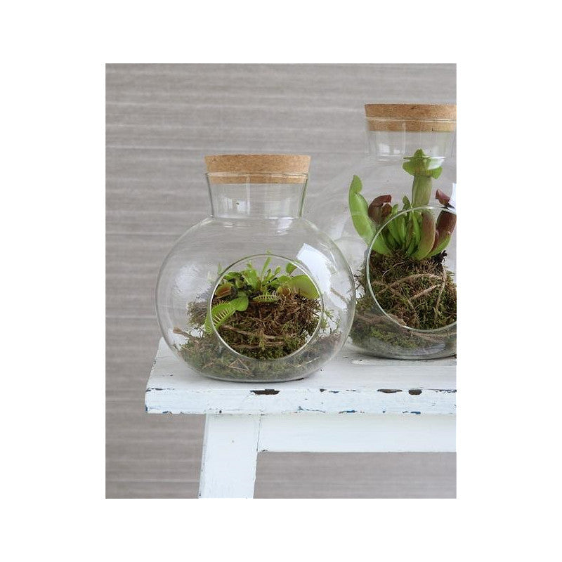 Sfera in vetro con tappo in sughero Ø 14 cm, H. 15 cm (1 pezzo) [IFS-29438]