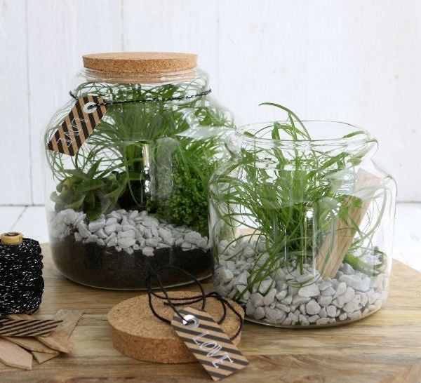 Barattolo di vetro con sughero Ø15cm e alto 14 cm (1 pz) [IFS-29451]