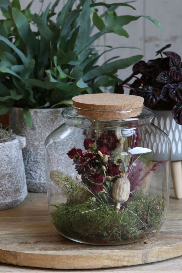 Bocal en verre avec bouchon de liège Ø 18cm et 18 cm de hauteur (1 pièce) [IFS-29452]