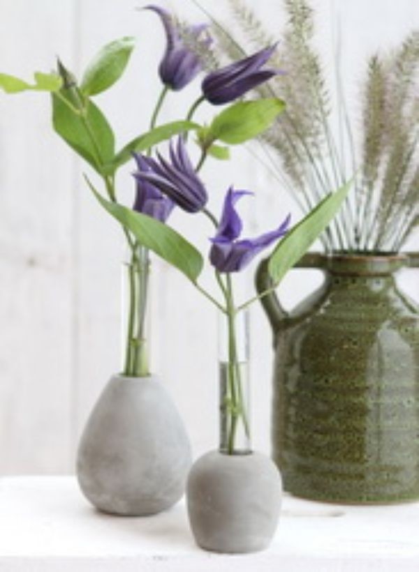 Base de ciment avec tube à essai en verre 6 cm de diamètre et de 15 cm de hauteur (1 pièce) [IFS-29475]