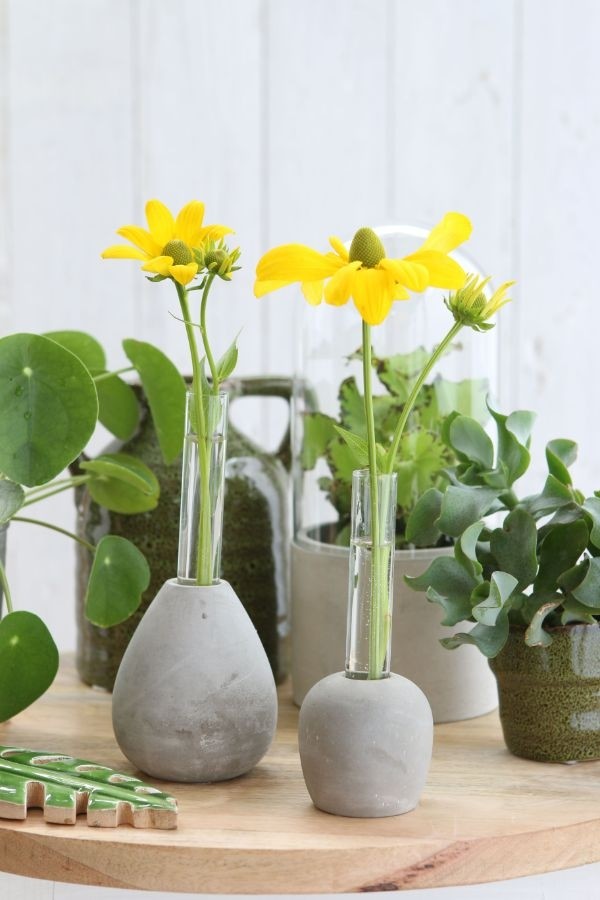 Base di cemento con Provetta in vetro Ø6cm e alta 15 cm (1 pz) [IFS-29475]