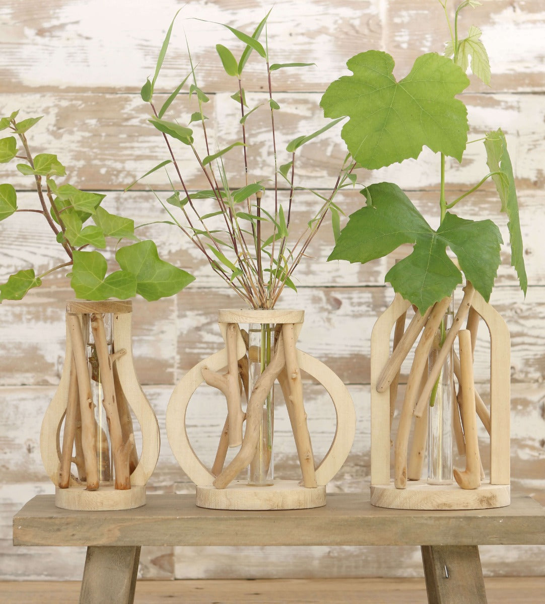 Grand Tube à essai avec support en bois (1 pièce.) [IFS-29645]