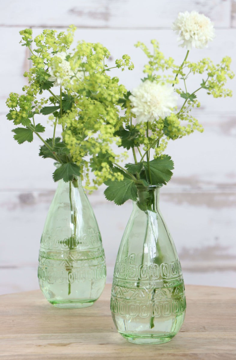 Blumenvasen Rom Ø7.5cm | H: 16cm Grün (12 Stück) [IFS-29735]