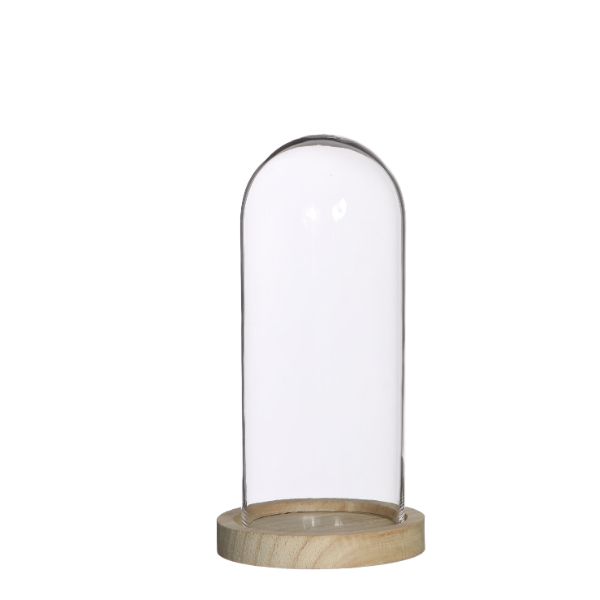 Glass Dome with Wooden Base Ø10cm and 20 cm tall (1 pc)