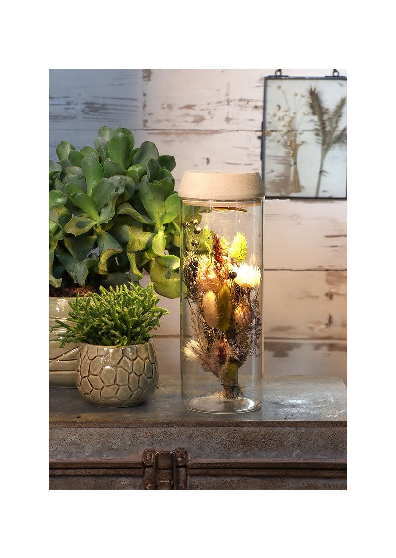 Provetta Ø8 h: 23 cm w. coperchio solare in sughero (1 pz) [IFS-30174]