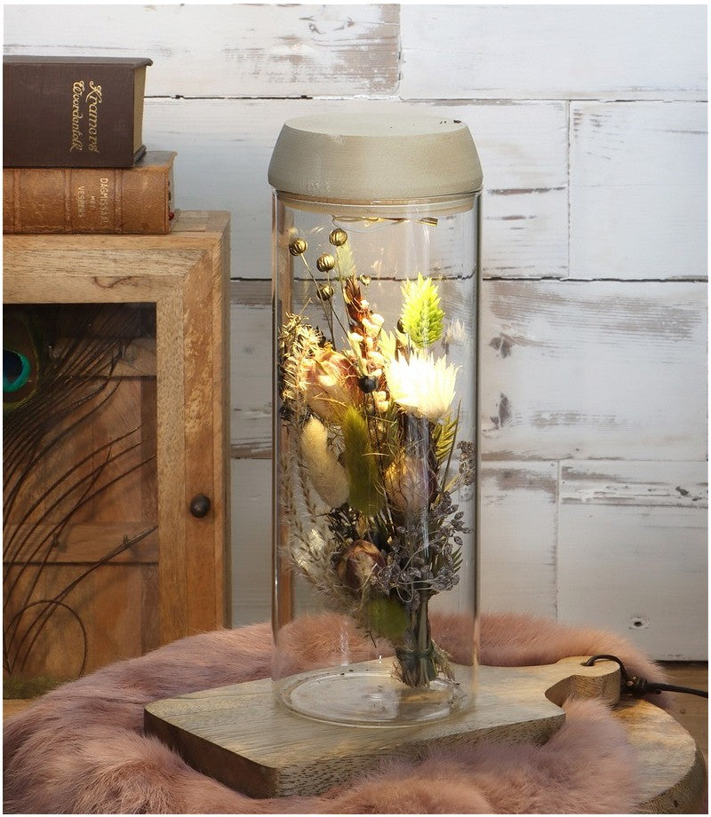 Provetta Ø8 h: 23 cm w. coperchio solare in sughero (1 pz) [IFS-30174]