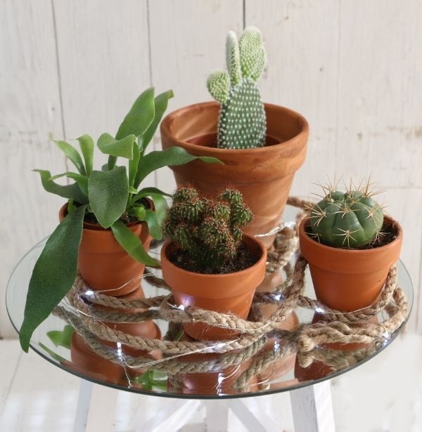 Plateau miroir rond Ø 30cm à bord biseauté (1 pièce) [IFS-30201].