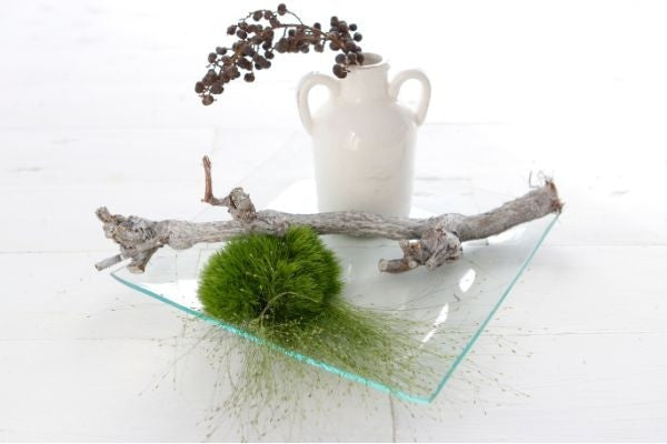 Plateau de verre carré 20x20x2cm d'épaisseur (1 pièce) [IFS-30263]