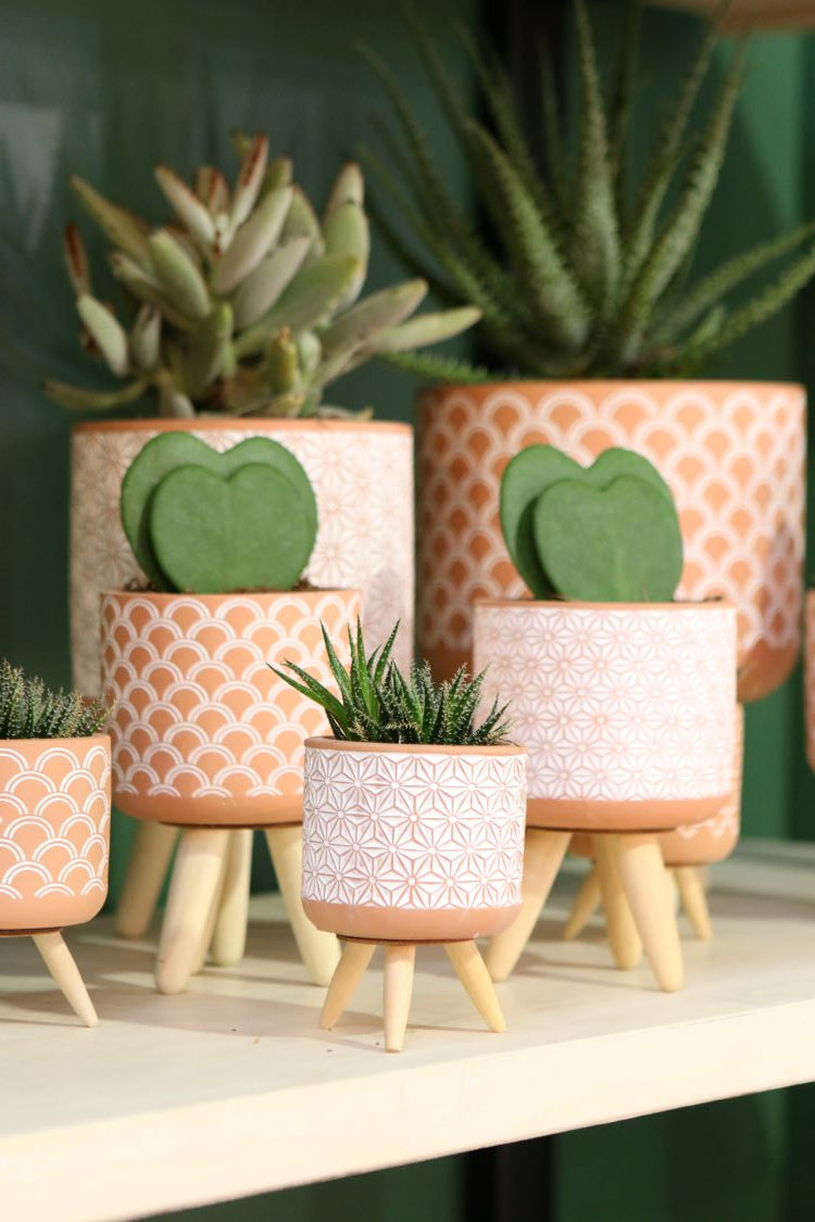 Blumentöpfe Terra-Zement mit Holzbeinen | H: 21.5cm (6 Stück) [IFS-33005]