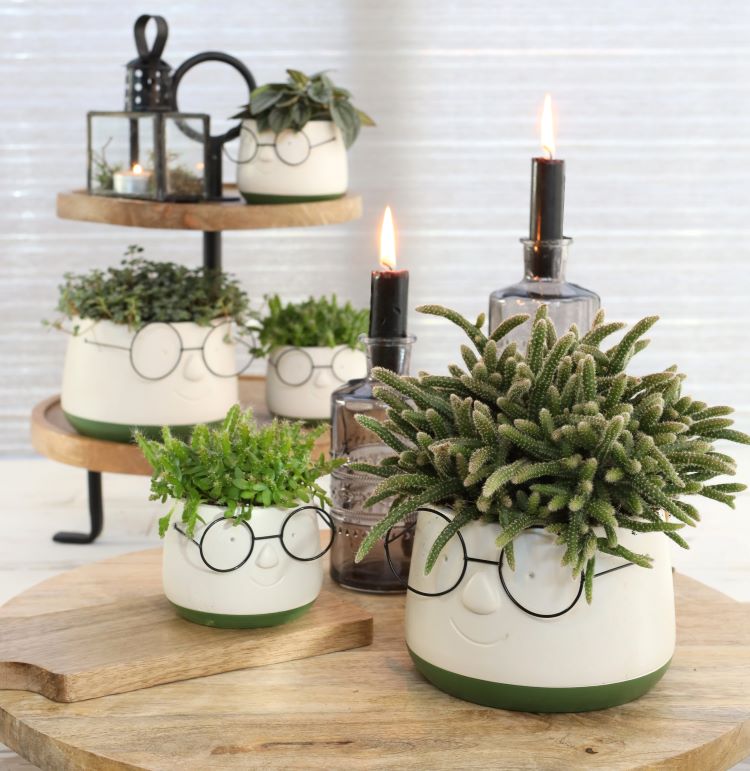 Pot avec verres Ø16 h: 11,5 cm (3 Pcs) [IFS-33095]