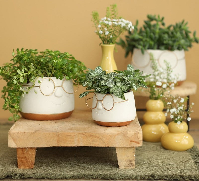 Pot avec verres or Ø12 h: 9 cm (6 Pcs) [IFS-33097]