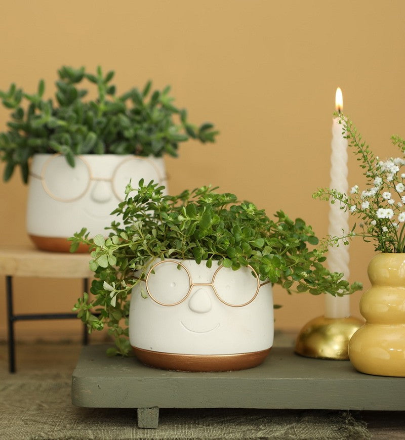 Pot avec verres or Ø12 h: 9 cm (6 Pcs) [IFS-33097]