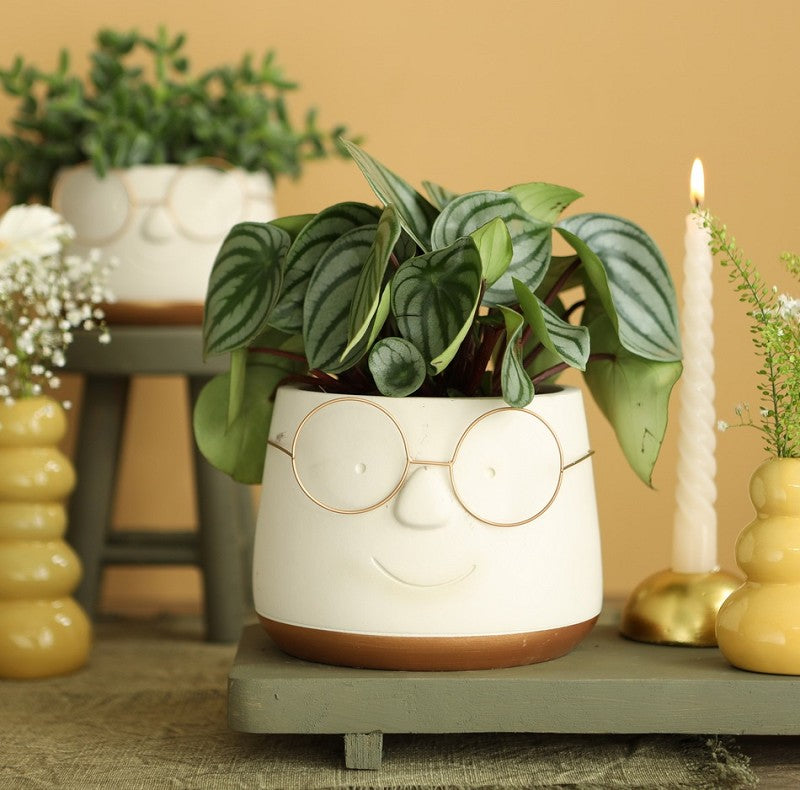 Pot avec verres or Ø16 h: 11,5 cm (3 Pcs) [IFS-33099]