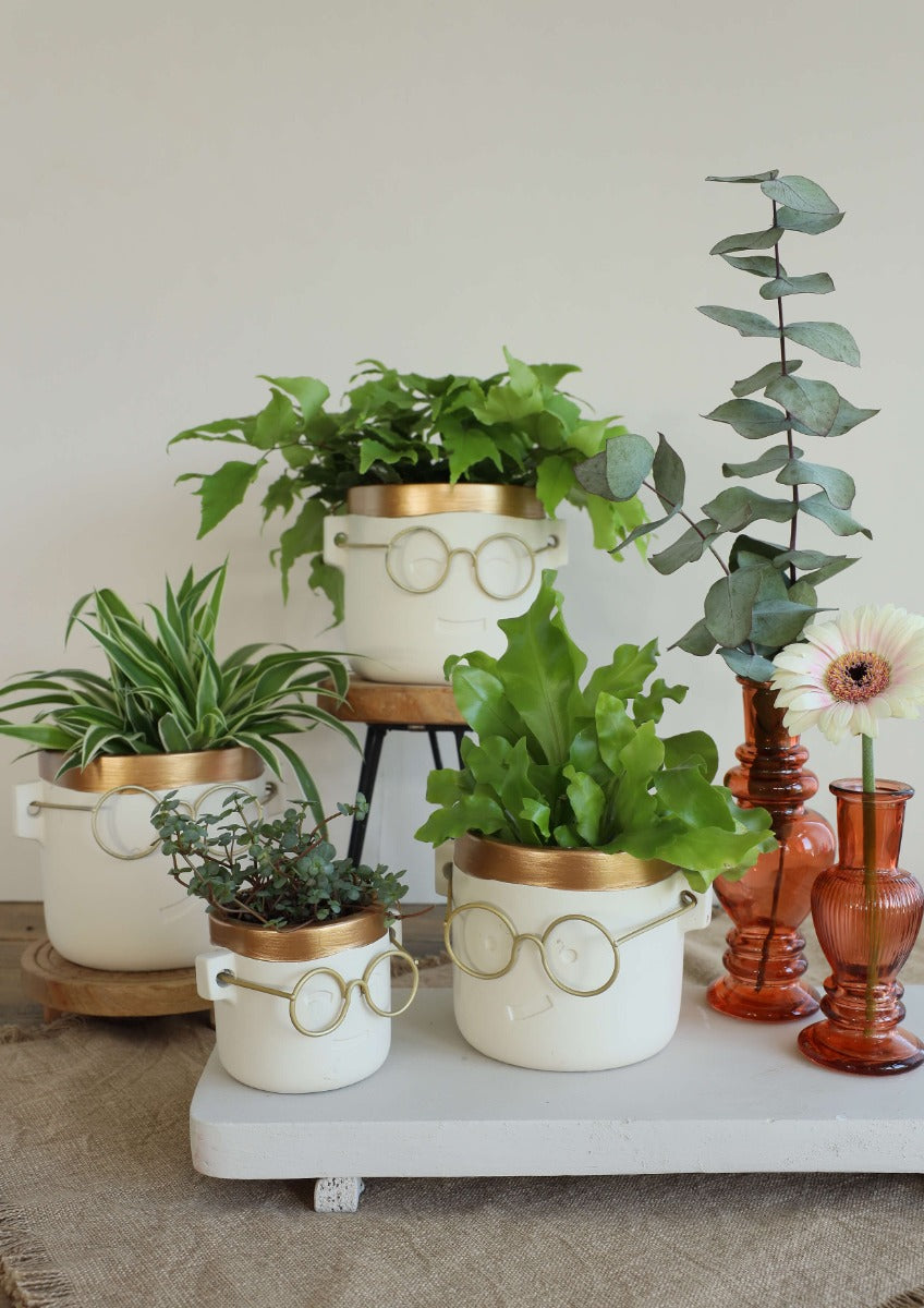 Vaso di fiori Harry Oro 2 ass. Ø7,5 h:7 cm (6 pz) [IFS-33182]