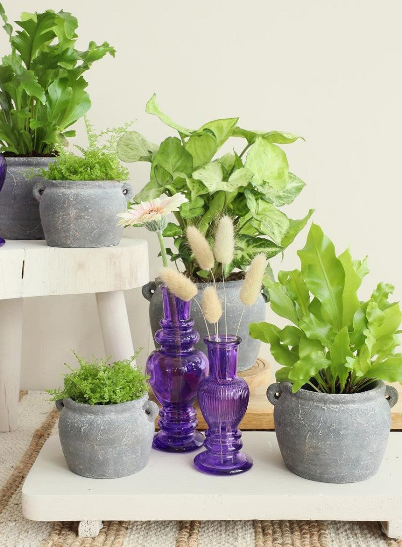 Vaso anfora 14x12,2x9 cm (6 pz) [IFS-33243]