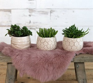 Plant pot Mila craquele glaze Cream 7cm high (9 pcs.) [IFS-33507]