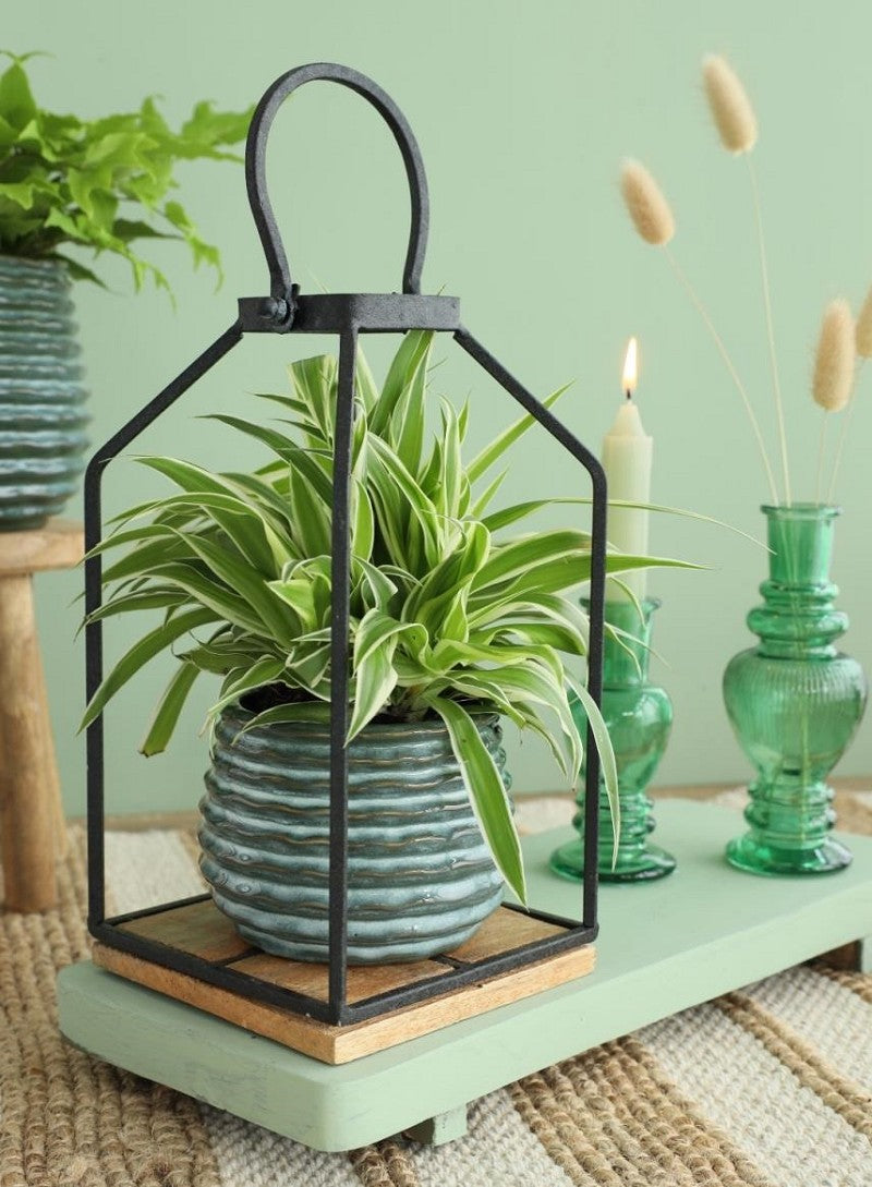 Pot Vert foncé Rise Ø6,5 x h: 8 cm (12 Pcs) [IFS-33952]