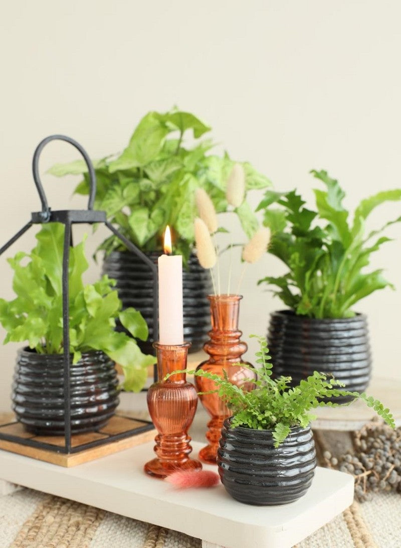 Topf Schwarz Anthrazit Rise Ø8,5 x h: 11,5 cm (9 Stück) [IFS-33973]