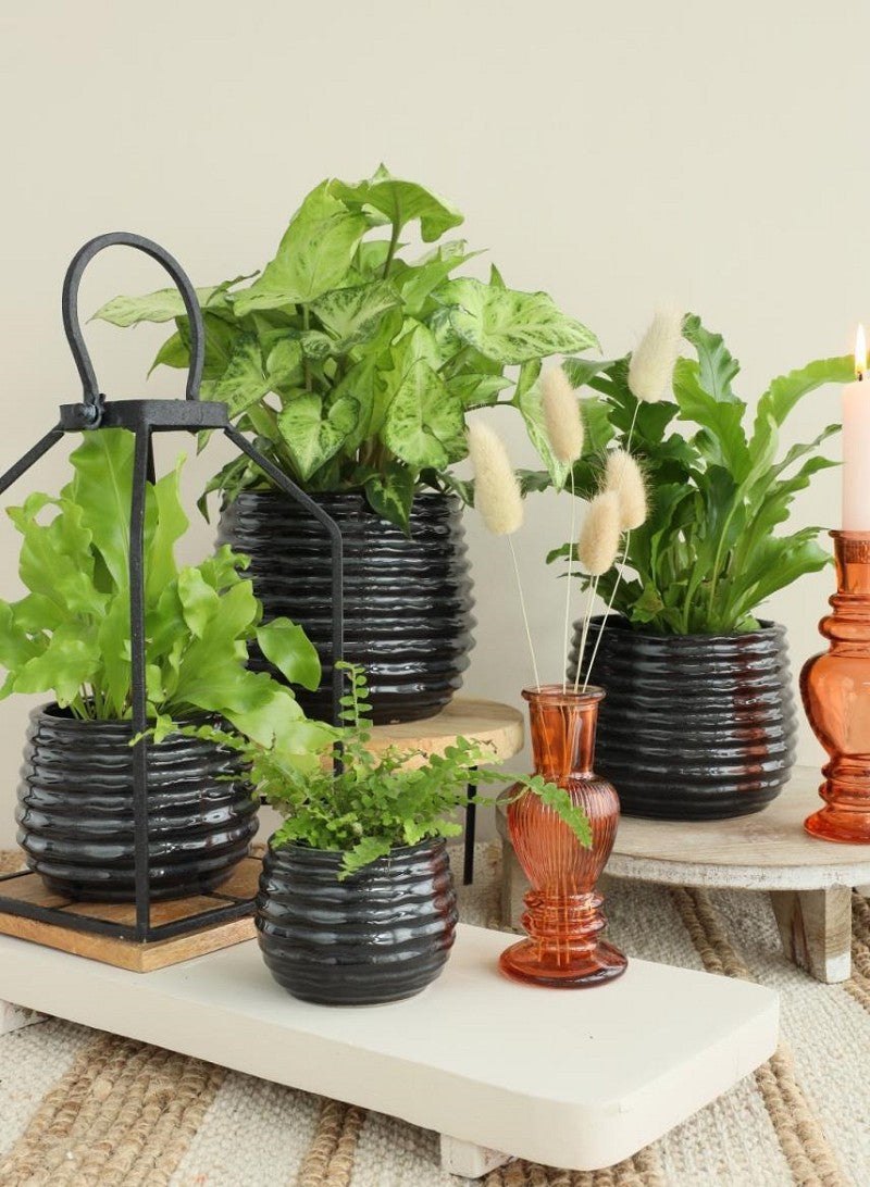 Topf Schwarz Anthrazit Rise Ø10 x h: 13,5 cm (6 Stück) [IFS-33974]