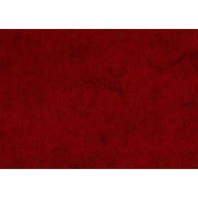 Feltro artigianale, A4, foglio 210x297 mm, spess. 1,5-2 mm, ruvido, rosso, 10 fgl./ 1 conf. [HOB-45523]