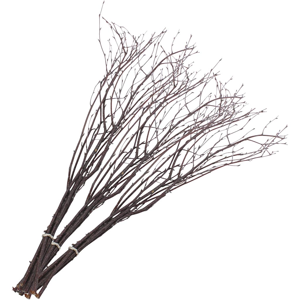 Birch Branches, L: 50-60 cm, 20 pc