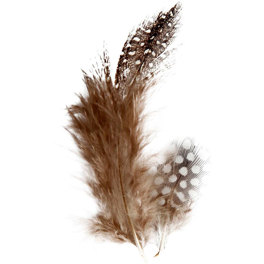 Guinea fowl feathers, ca. 100 pc, brown, 3 g