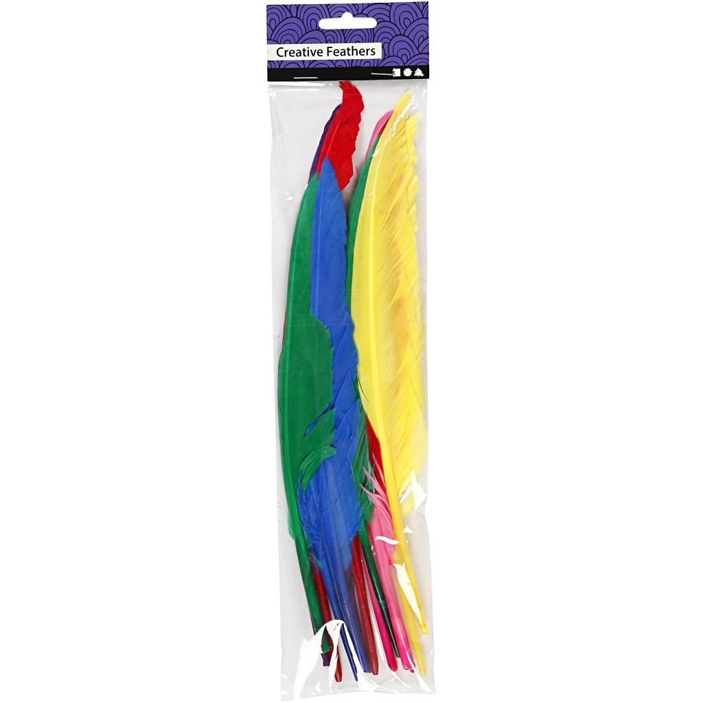 Plumes, L : 27 cm, ass. de couleurs, 12 pièces/ 1 Pq. [HOB-51819]