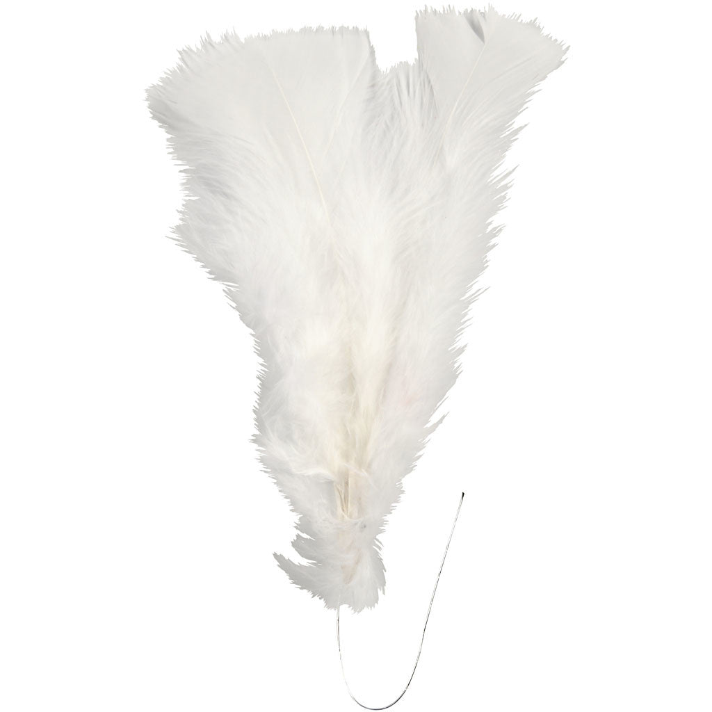 Federn, L 11-17 cm, Weiß, 18 Bündl./ 1 Pck [HOB-51847]