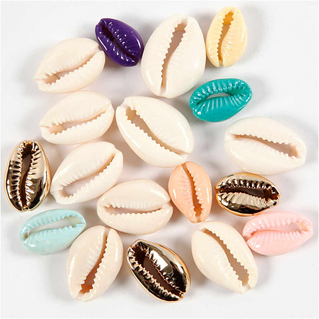 Coquillage, L : 20 mm, ass. de couleurs, 75 pièces/ 1 Pq. [HOB-61019]