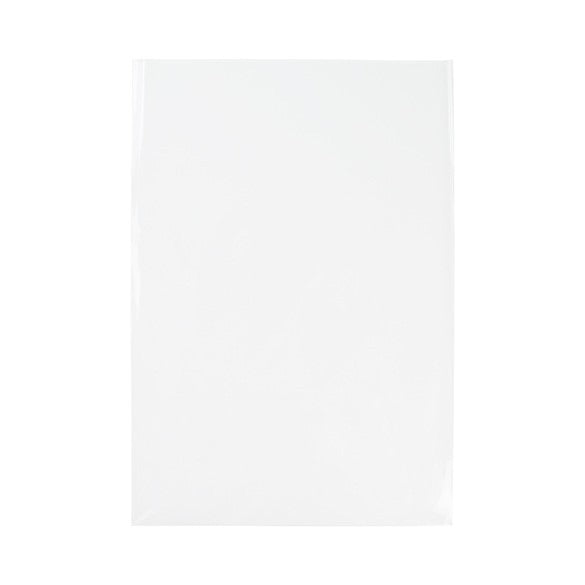 Sachet plastique plat grand format 21,4x26cm Transparent et Scellable sans Rabat (100 pièces) [B108NF]